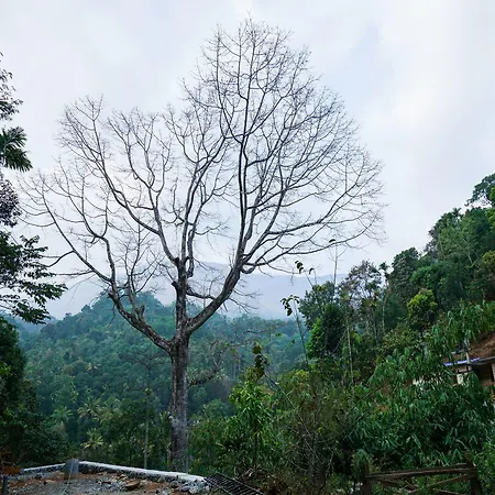 Oyo 12026 Planter'S Villa